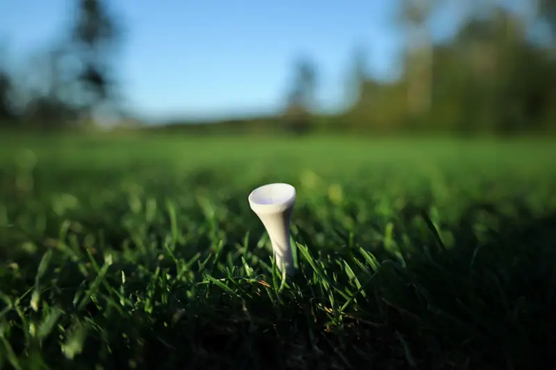 Close-up of a white golf tee on lush green grass in Harbor Springs, Michigan, under clear skies