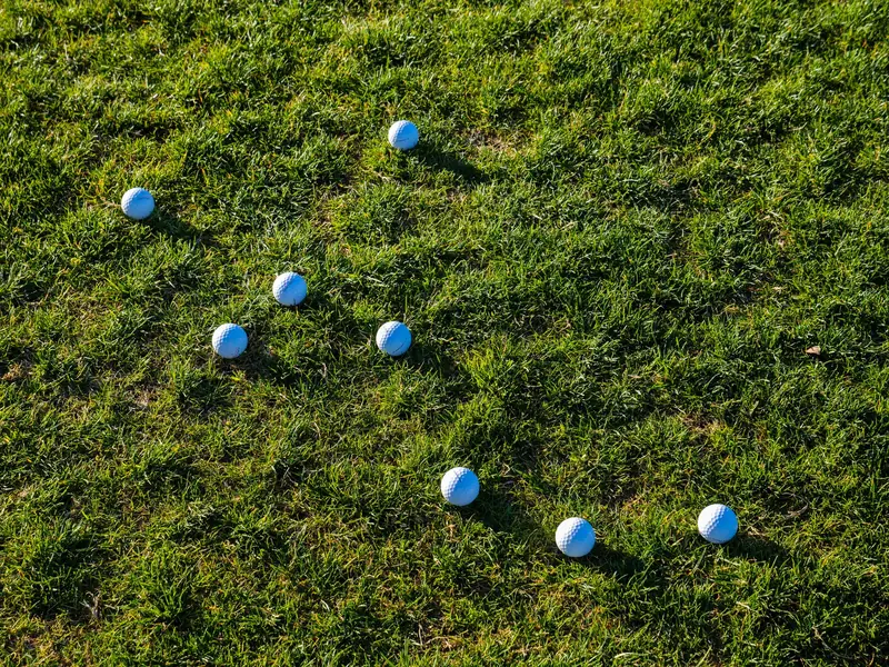 Multiple golf balls scattered on a lush green grass field under bright daylight