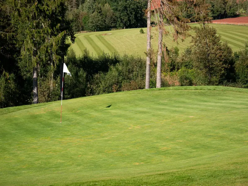 Vibrant green golf course fairway featuring flagstick, ideal for outdoor sports settings