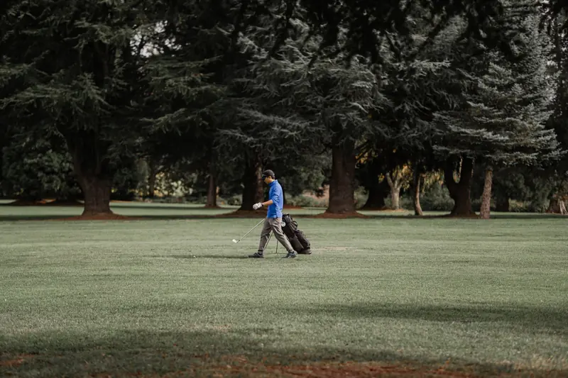 A golfer enjoying a sunny day on a lush green golf course surrounded by trees